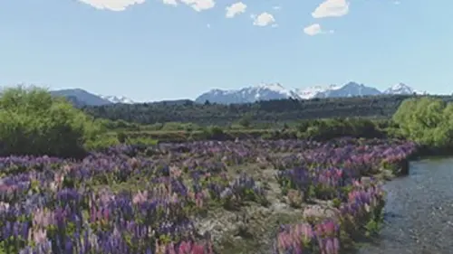 Invitation au voyage