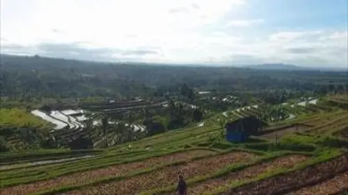 Invitation au voyage