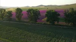 Visuel de Invitation au voyage