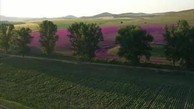 Alain Souchon en Bretagne / Roumanie / Sao Tomé