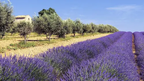 Invitation au voyage