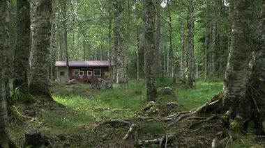 Invitation au voyage