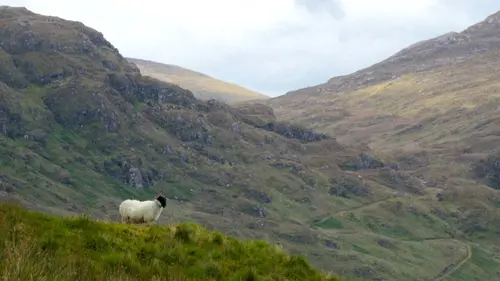 Invitation au voyage Irlande