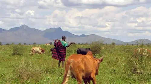 Invitation au voyage Ouganda