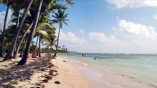 Invitation au voyage Guadeloupe