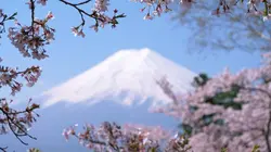 Invitation au voyage Japon