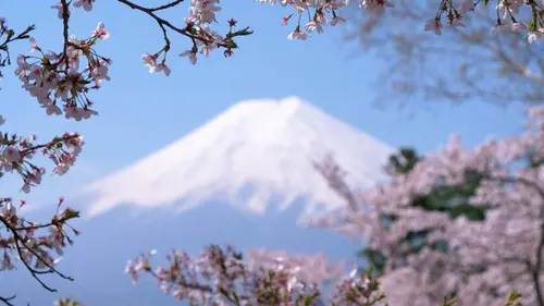 Invitation au voyage Japon