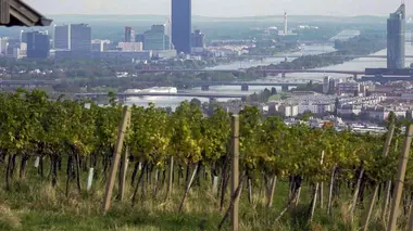 Invitation au voyage