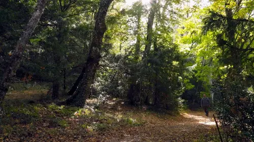 Invitation au voyage