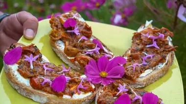 Invitation au voyage