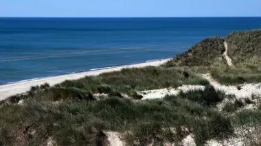 Invitation au voyage