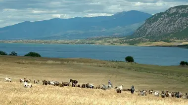 Invitation au voyage