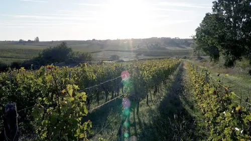 Invitation au voyage