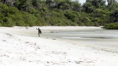 Invitation au voyage