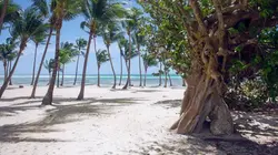 Invitation au voyage Spécial Guadeloupe