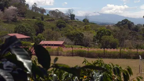 Invitation au voyage Spécial Costa Rica