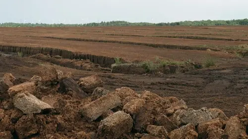 Casting Invitation au voyage