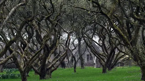 Invitation au voyage