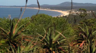 Invitation au voyage