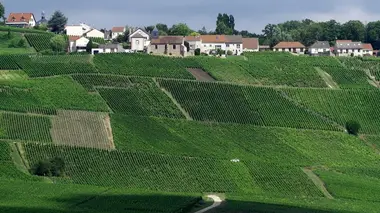 Invitation au voyage