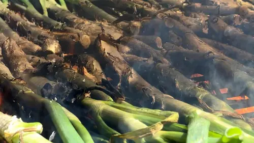 Invitation au voyage