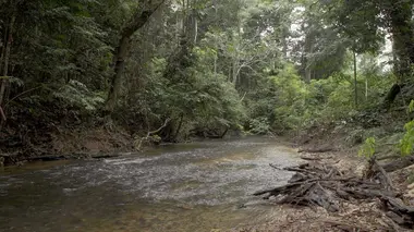 Invitation au voyage