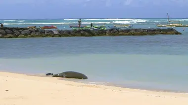 Invitation au voyage