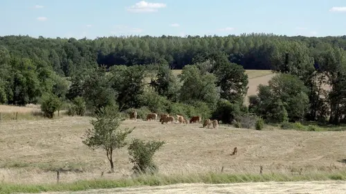 Invitation au voyage