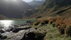 Invitation au voyage