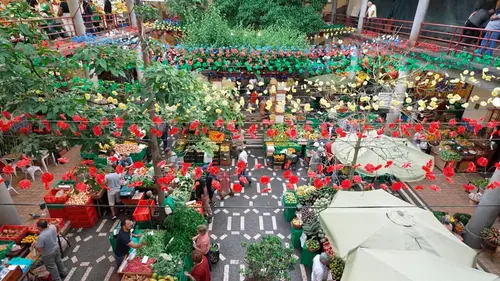 Invitation au voyage