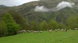 Invitation au voyage