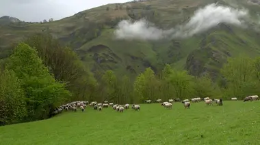 Invitation au voyage