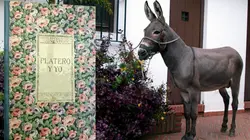 Invitation au voyage