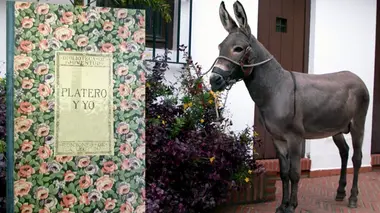 Invitation au voyage