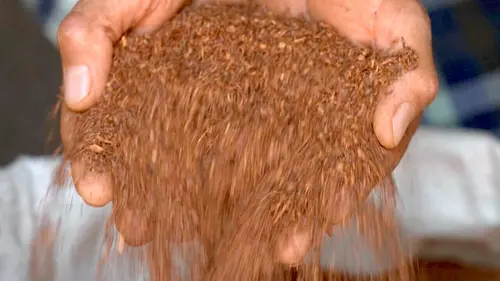 Invitation au voyage