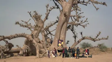 Invitation au voyage