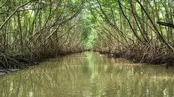 Invitation au voyage