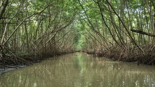 Invitation au voyage