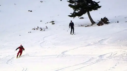 Invitation au voyage