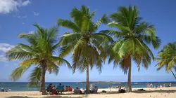 Invitation au voyage : Nos épopées