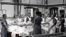 Visuel de Irlande, le linge sale de l'Eglise : Les blanchisseuses de la Madeleine
