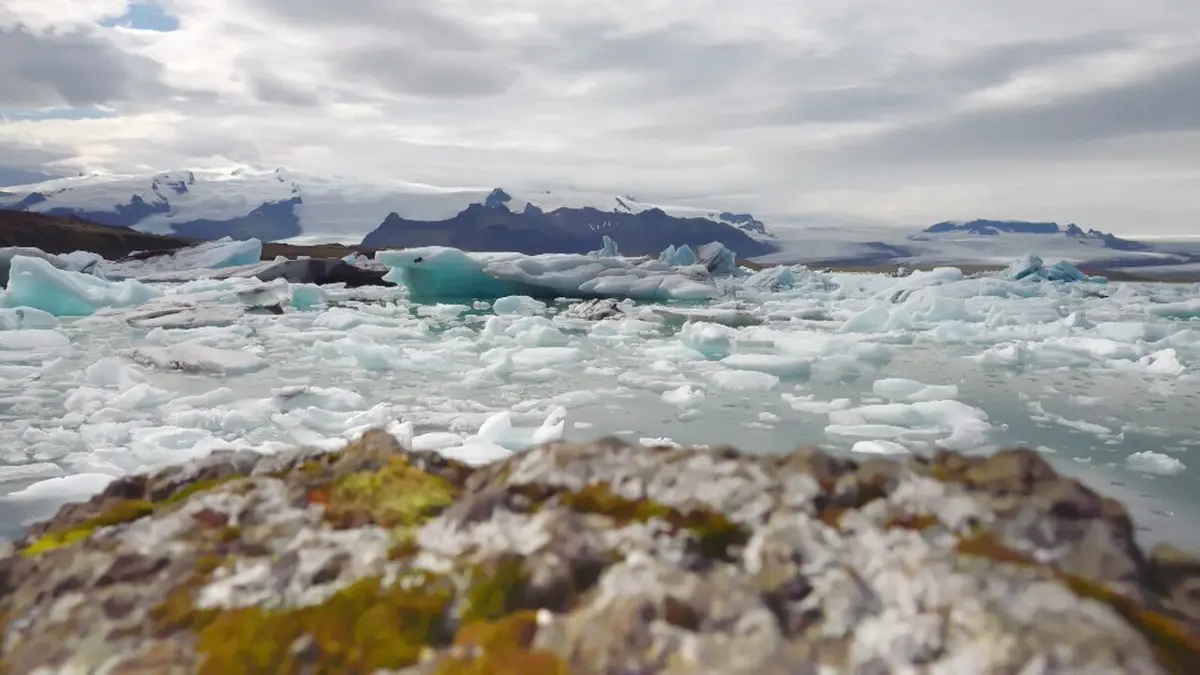 Visuel de Islande, sur la piste du renard polaire