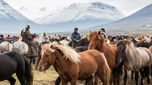 Islande, une nature explosive