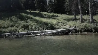 Le boucher fou de Cleveland