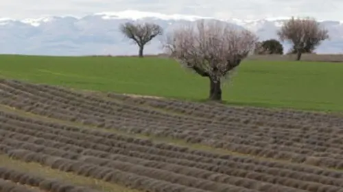 Itinéraires bis E02 Provence