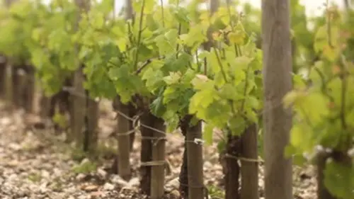 Itinéraires bis E09 Bordelais