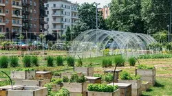 Itinéraires paysans