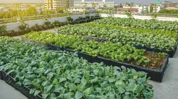 Itinéraires paysans