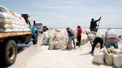 Itinéraires sauvages En Colombie