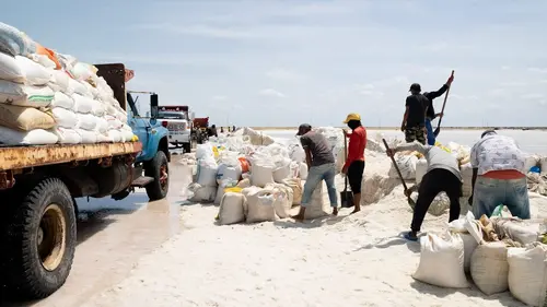 Itinéraires sauvages En Colombie